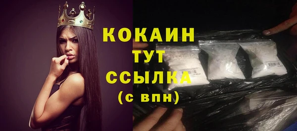 дурь Горняк
