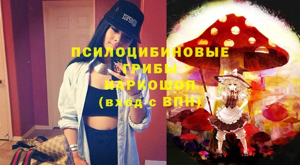 дурь Горняк