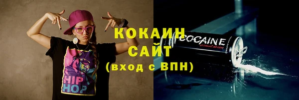 дурь Горняк