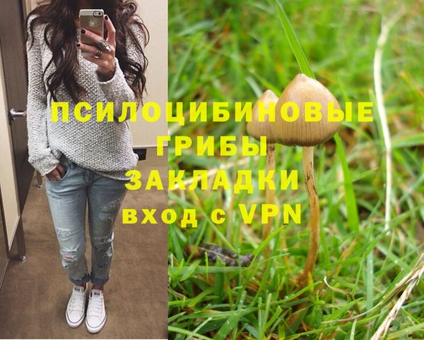 сатива Горнозаводск