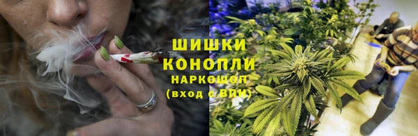 сатива Горнозаводск