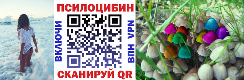 Псилоцибиновые грибы мицелий  Кочубеевское 